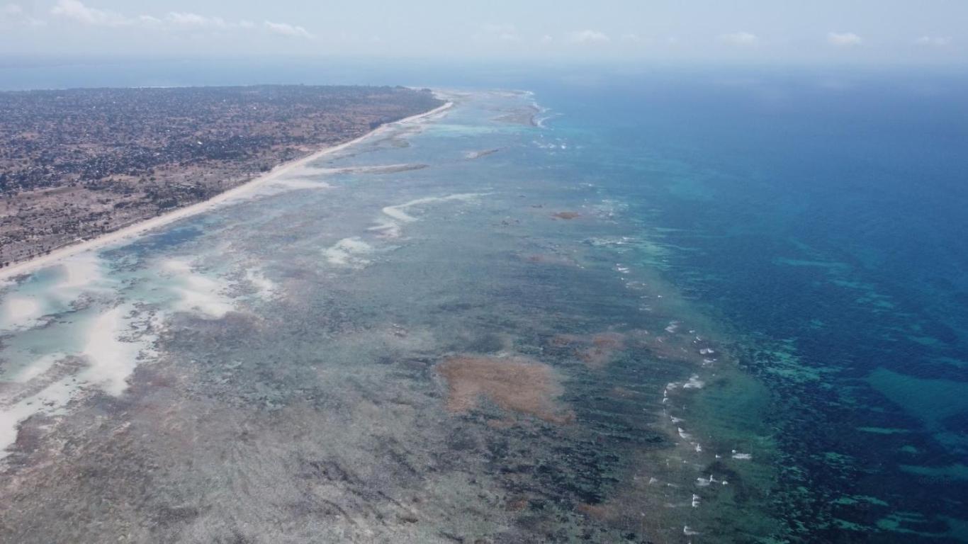 Chuiba Bay Lodge Pemba Zewnętrze zdjęcie