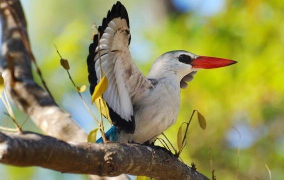 Chuiba Bay Lodge Pemba Zewnętrze zdjęcie