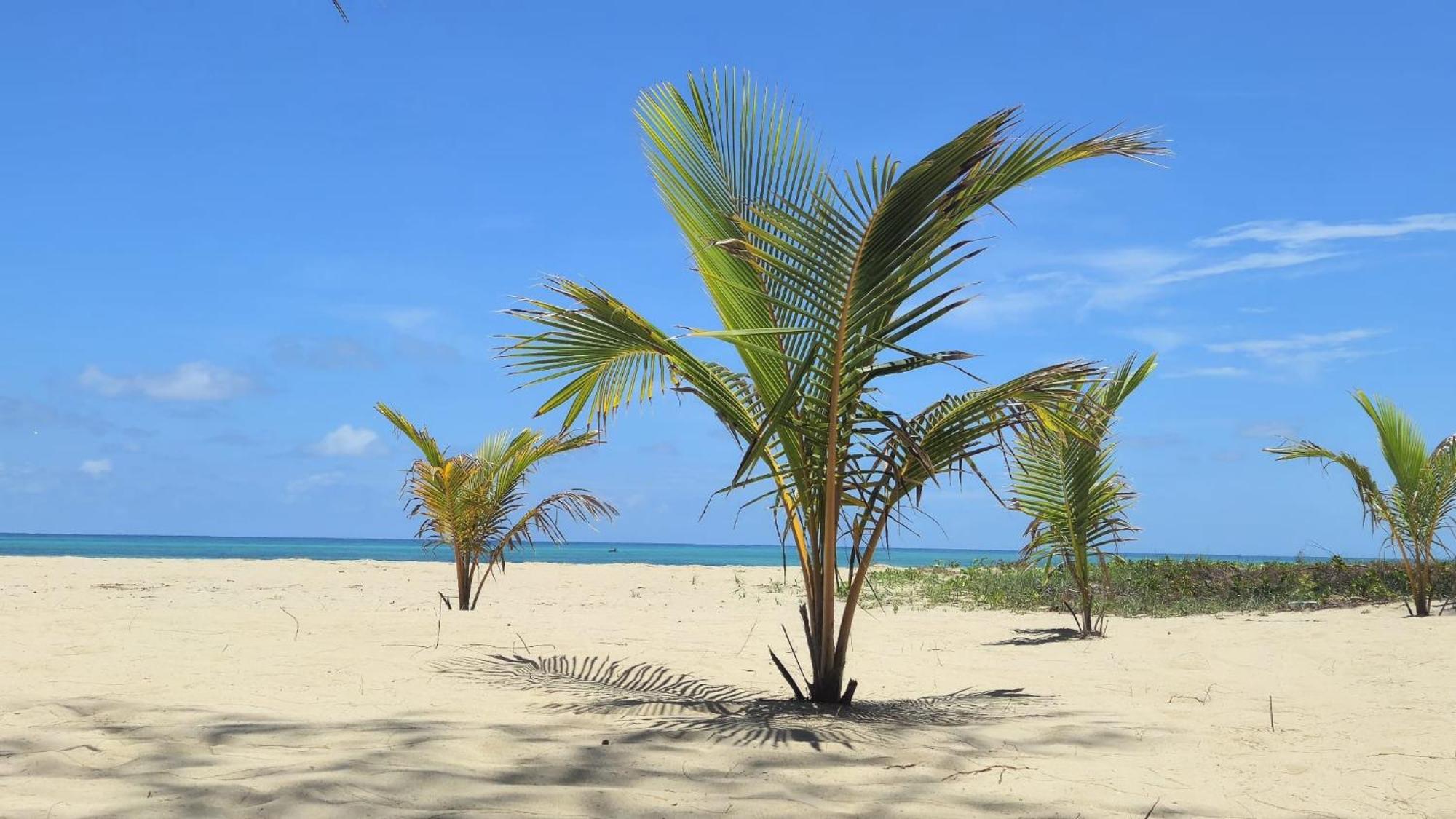 Chuiba Bay Lodge Pemba Zewnętrze zdjęcie